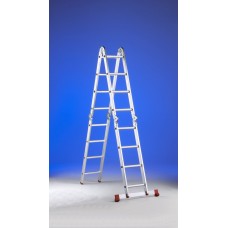 Lady Plus